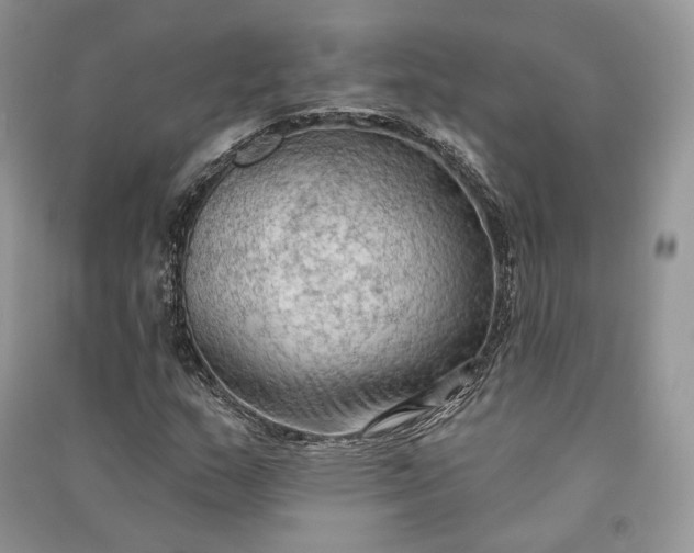 X0000090911159200708131406