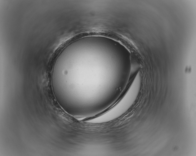 X0000090911160200708131406