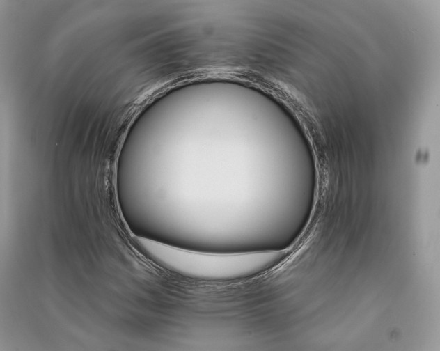 X0000090911161200708131406