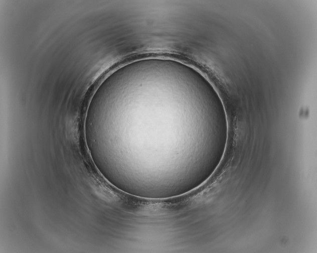 X0000090911162200708131406