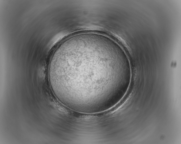 X0000090911163200708131406