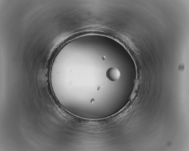 X0000090911164200708131406