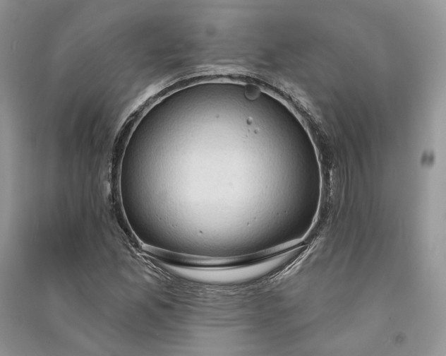 X0000090911165200708131406