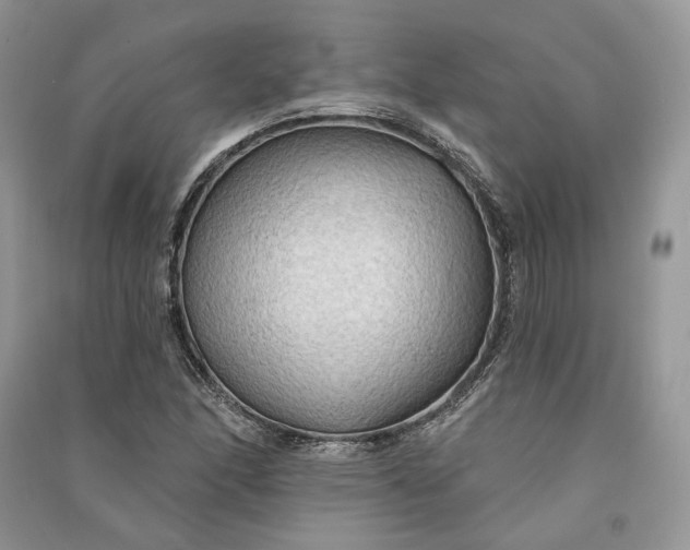 X0000090911166200708131406