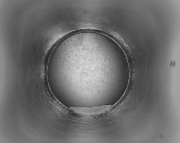 X0000090911167200708131406