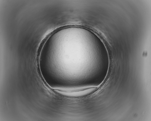 X0000090911168200708131406