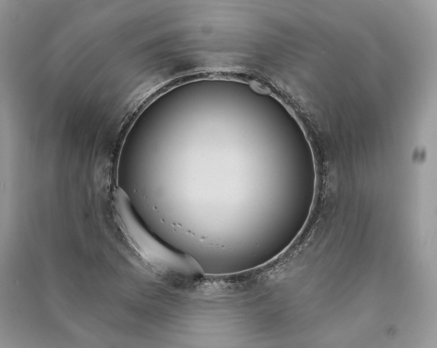 X0000090911169200708131406