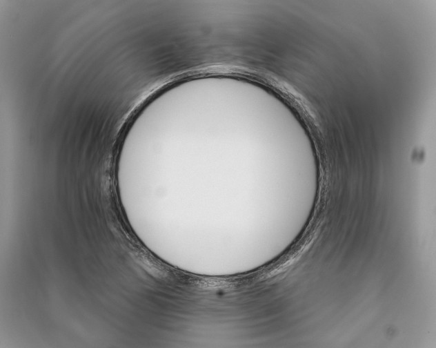 X0000090911170200708131406