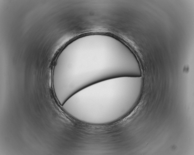 X0000090911171200708131406