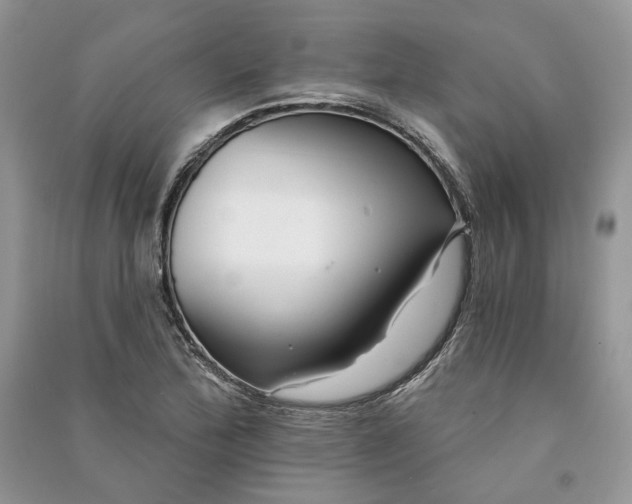 X0000090911172200708131406