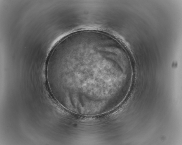 X0000090911174200708131406