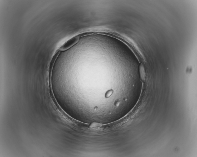 X0000090911176200708131406