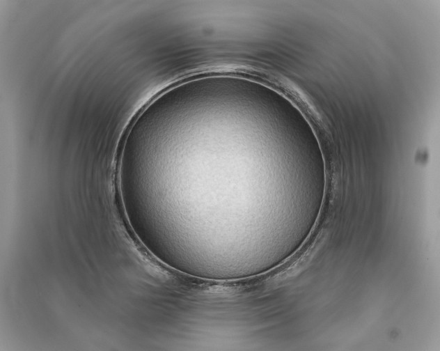 X0000090911178200708131406