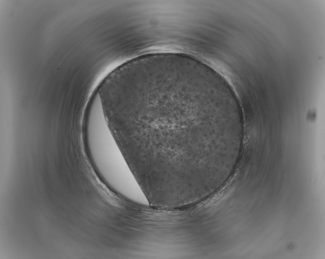 X0000090911179200708131406