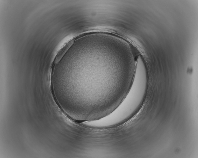 X0000090911180200708131406