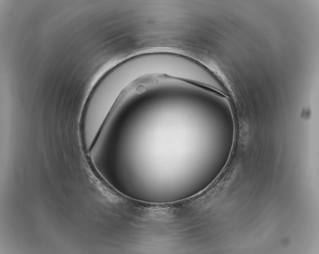 X0000090911181200708131406