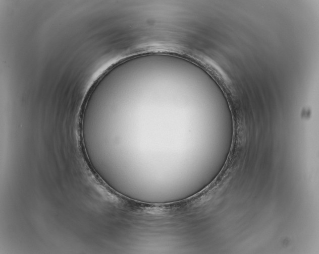 X0000090911182200708131406