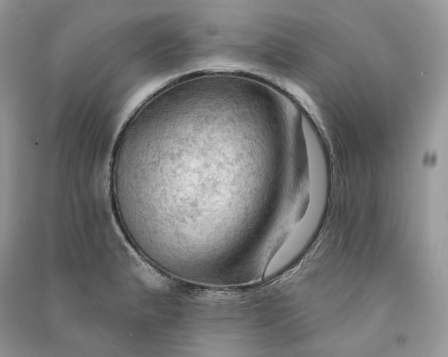 X0000090911183200708131406