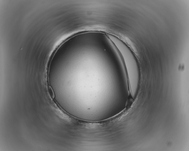 X0000090911184200708131406