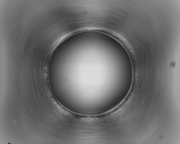 X0000090911185200708131406