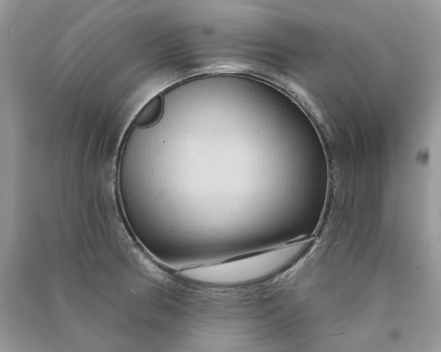 X0000090911186200708131406