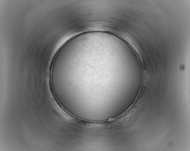 X0000090911187200708131406