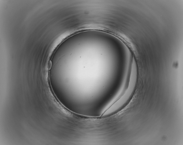 X0000090911188200708131406