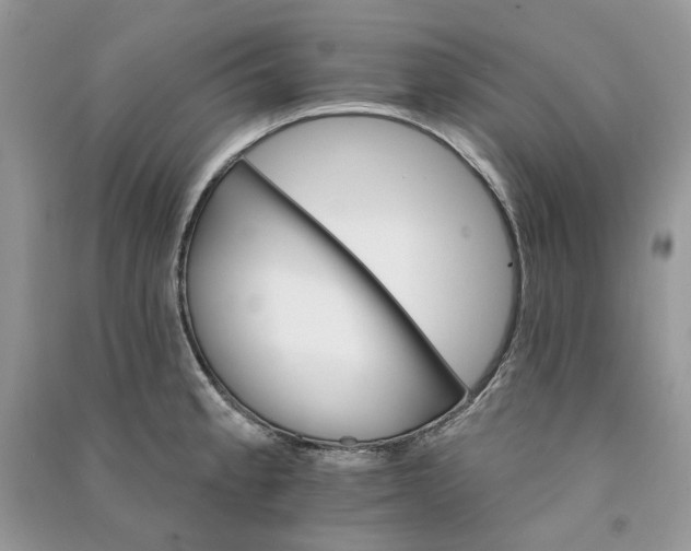 X0000090911189200708131406