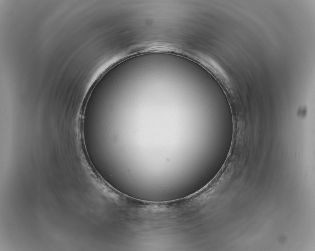 X0000090911190200708131406