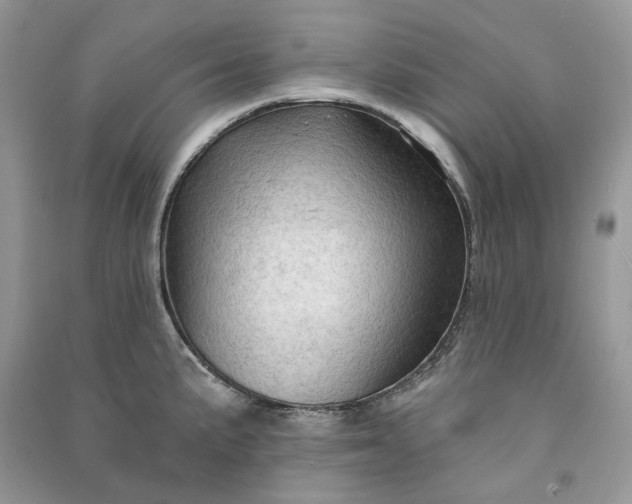 X0000090911191200708131406