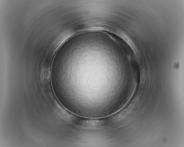 X0000090911193200708131406