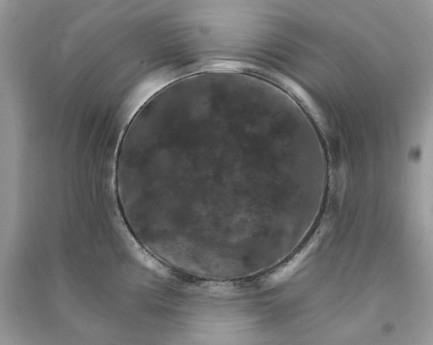 X0000090911194200708131406