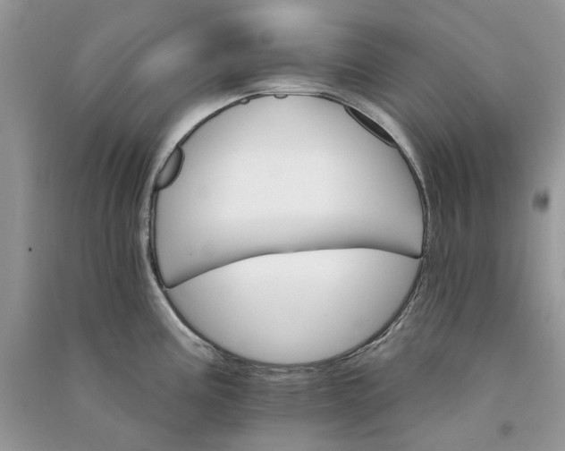 X0000090911195200708131406