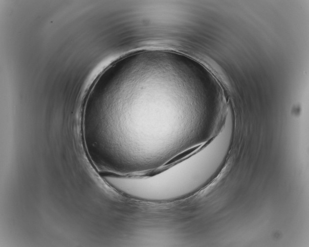 X0000090911196200708131406