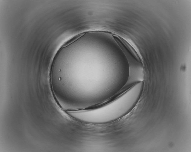 X0000090911197200708131406