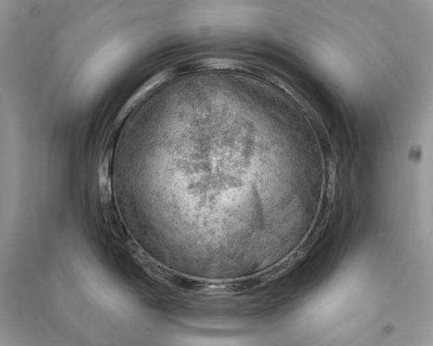 X0000090911198200708131406