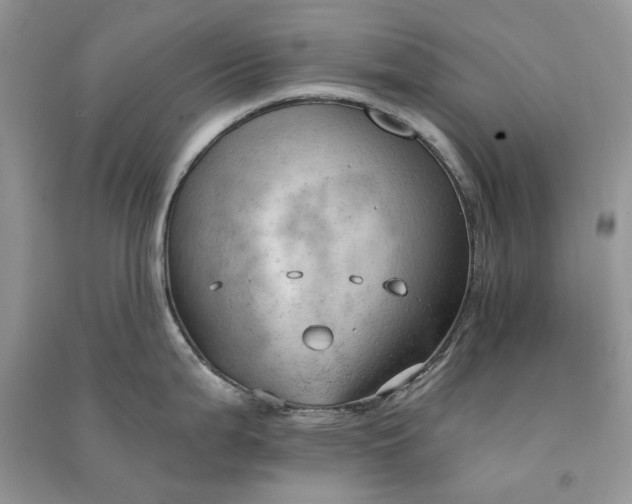 X0000090911199200708131406