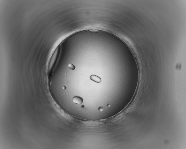 X0000090911200200708131406