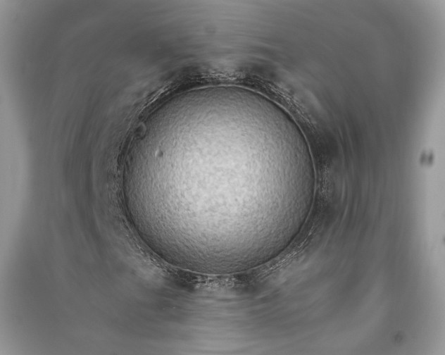 X0000090911201200708131405