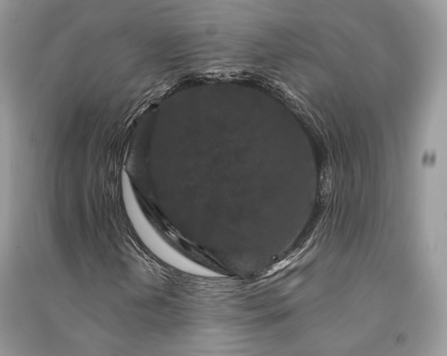 X0000090911202200708131405