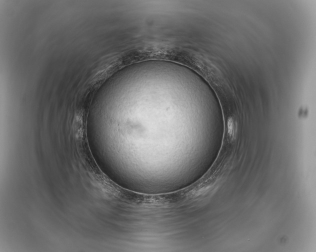 X0000090911203200708131405