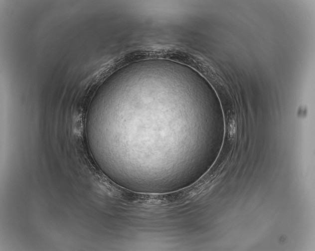 X0000090911204200708131405