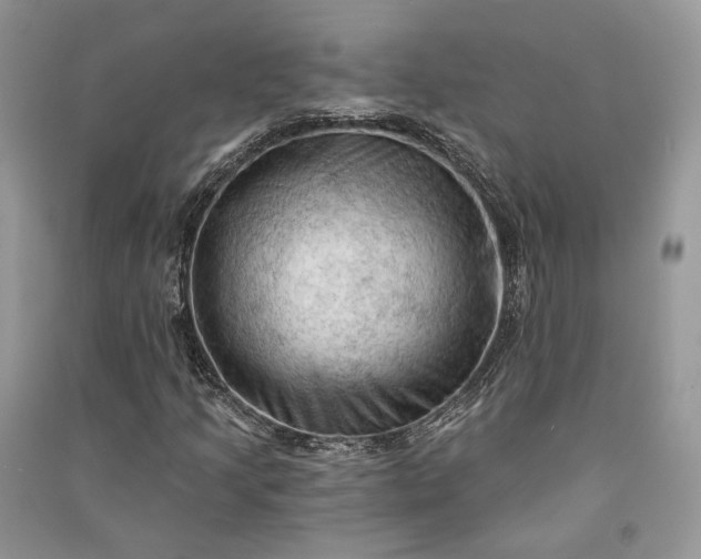 X0000090911205200708131405