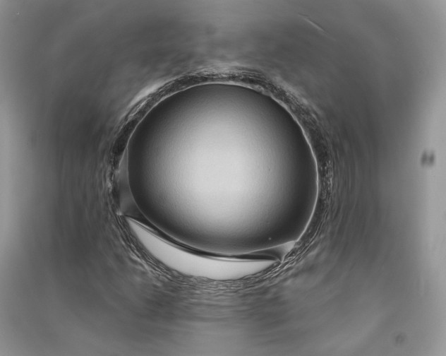 X0000090911206200708131405