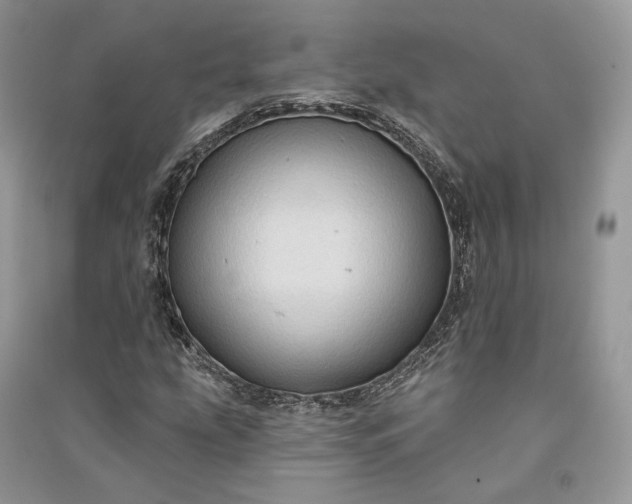 X0000090911207200708131405