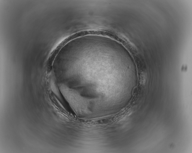 X0000090911208200708131405