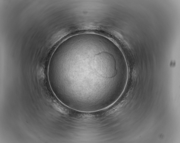 X0000090911209200708131405