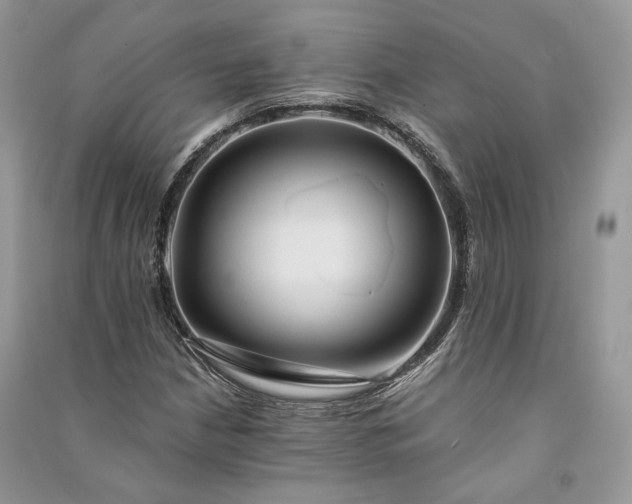 X0000090911210200708131405