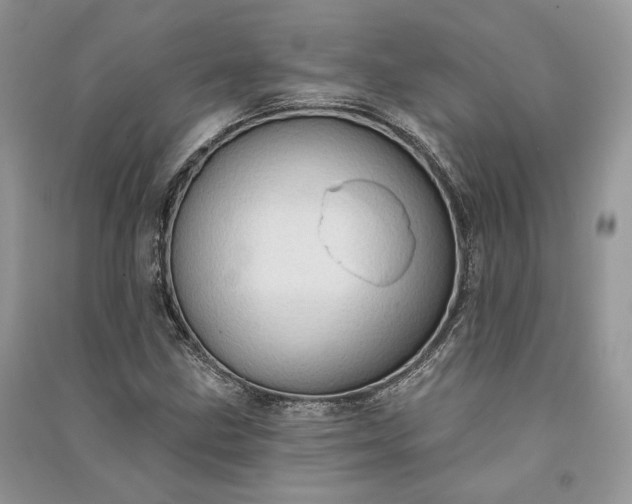 X0000090911211200708131405