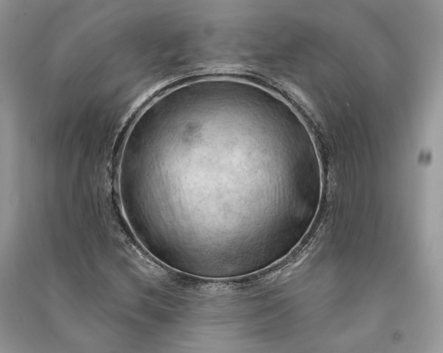 X0000090911212200708131406